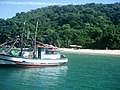 Praia do Bonete - Ubatuba - panoramio.jpg