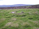 Prahistoriaj kabancirkloj sur la flanko de Mynydd Melyn - geograph.org.uk - 199943.jpg