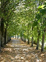 Promenade des Murs.jpg