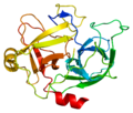 Thumbnail for Hippo signaling pathway