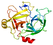 Protein MST1 PDB 2asu.png