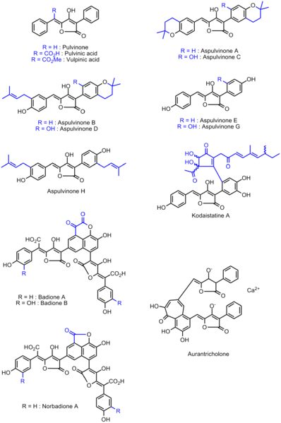 File:PulvinoneDerivatives.png