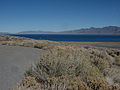 Thumbnail for File:Pyramid Lake, Nevada (15) (4134269755).jpg