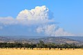 Pyrocumulus cloud produced by the Dixie Fire on July 22-5865.jpg
