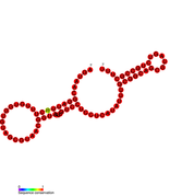 STnc440 Hfq binding RNA: Predicted secondary structure taken from the Rfam database. Family RF01404.