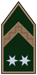 Rank Army Hungary OR-06.svg