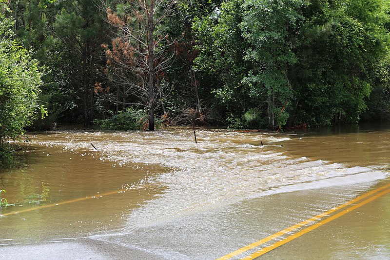 File:Roman Forest Flood, 4-19-16 at 2-30 PM (25924346414).jpg