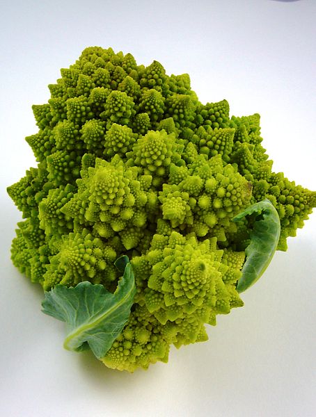 File:Romanesco broccoli.jpg