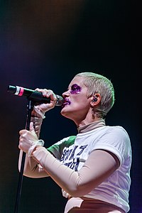 Roskilde Festival Fever Ray 2.jpg