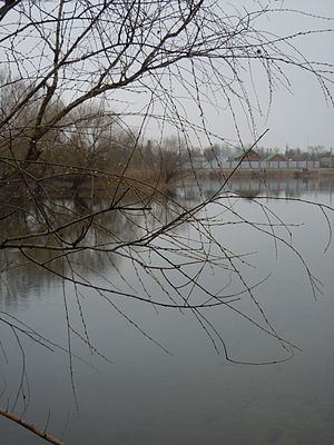 Safyany Lake, Biliayivka.jpg