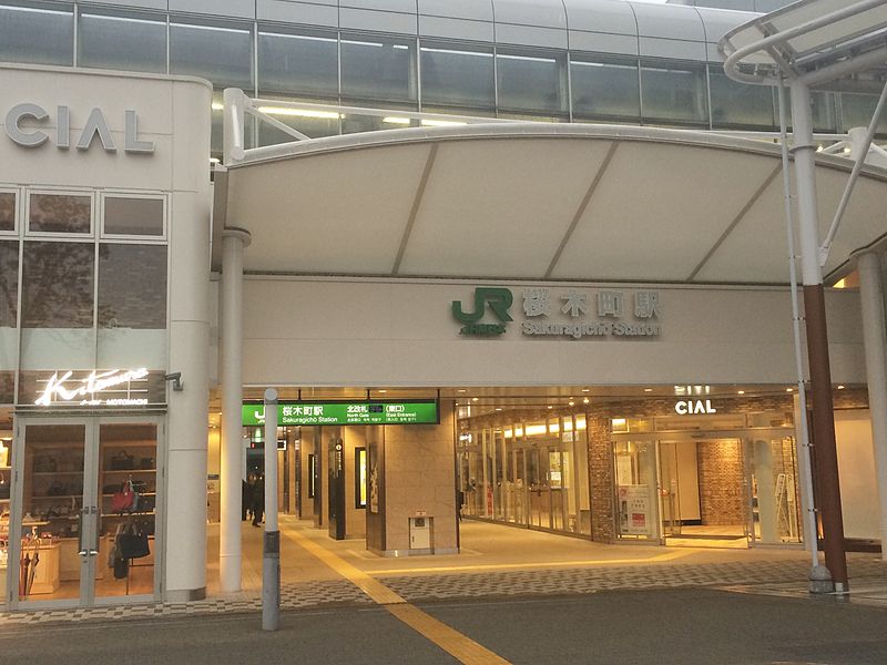 File:Sakuragicho Station north east entrance 02.JPG