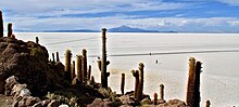 Salar de Uyuni-Isla Incahuasi.jpg
