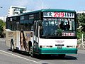 三重客運2004年版的第一款大窗車 299路。(已淘汰)