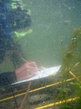 <span class="mw-page-title-main">Underwater archaeology</span> Archaeological techniques practiced at underwater sites