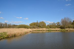 Schleswig-Holstein, Lunden, Landschaftsschutzgebiet und Naturerlebnisraum NIK 5810.jpg