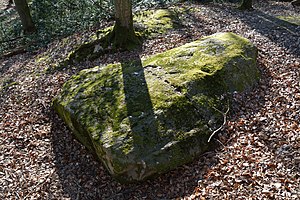 Schleswig-Holstein, Tensbüttel-Röst, Naturdenkmal Harkestein NIK 1668.JPG