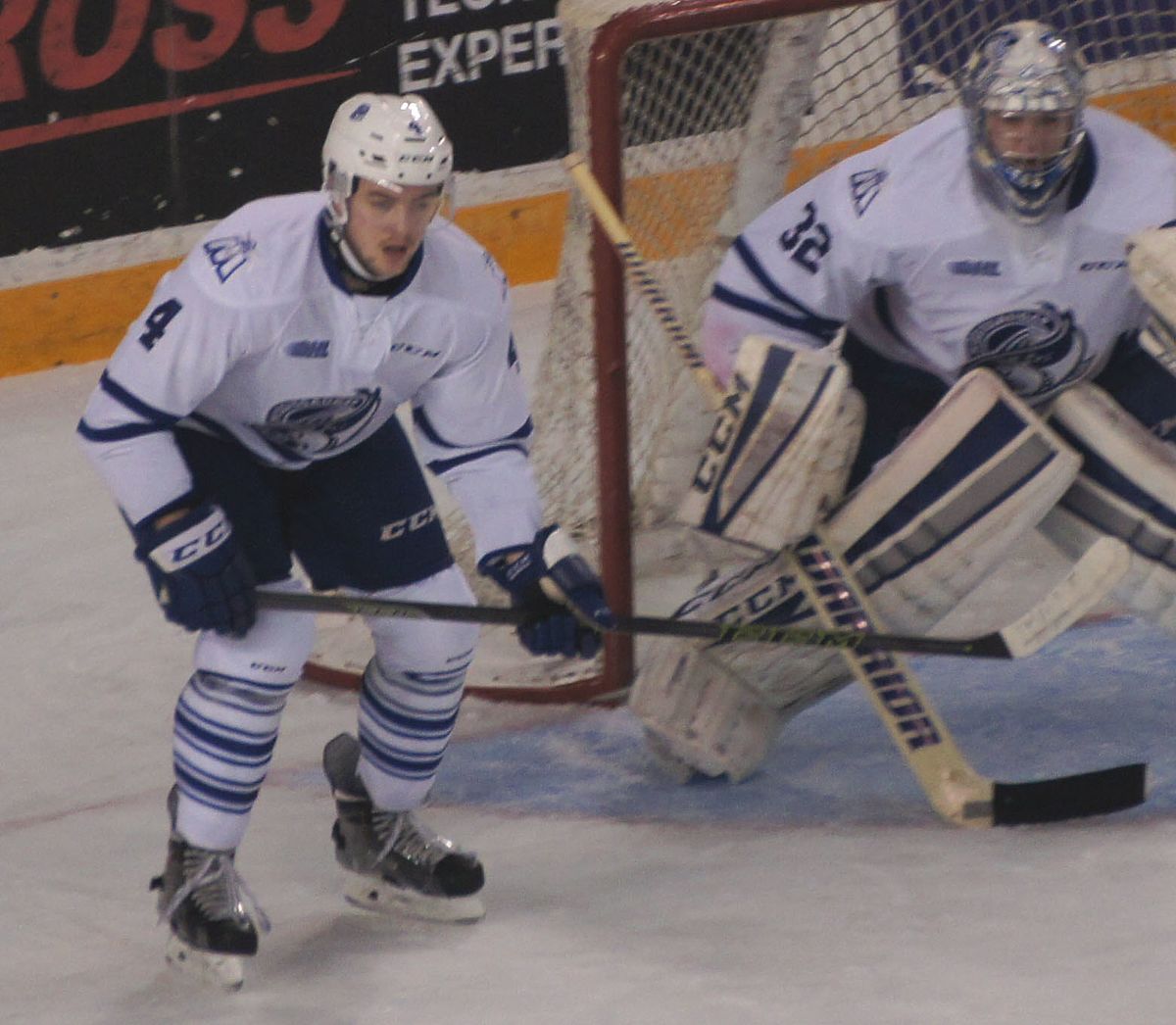 Maine Mariners, American Hockey League Wiki