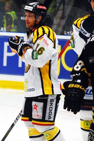 <span class="mw-page-title-main">Sebastian Lauritzen</span> Swedish ice hockey player