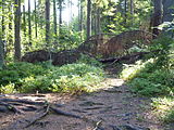 Suomi: Sipoonkorven kansallispuisto Svenska: Sibbo storskogs nationalpark English: Sipoonkorpi National Park