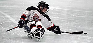 Sledge Hockey