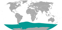 Southern Elephant Seal area.png