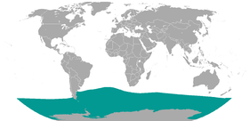 Southern Elephant Seal area.png