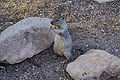 Grand Canyon National Park