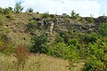 English: Státní lom, an abandoned quarry in the nature park Velký Kosíř. South-west part of the quarry is a national natural monument, but this picture was taken in its north part. Čeština: Státní lom, přírodní park Velký Kosíř. Jihozápadní část lomu je národní přírodní památkou, ovšem tato fotografie byla pořízena v severní části.