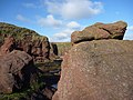 Миниатюра для Файл:Stacking Up - On the stump at Dunbar's rocky foreshore - geograph.org.uk - 1842114.jpg