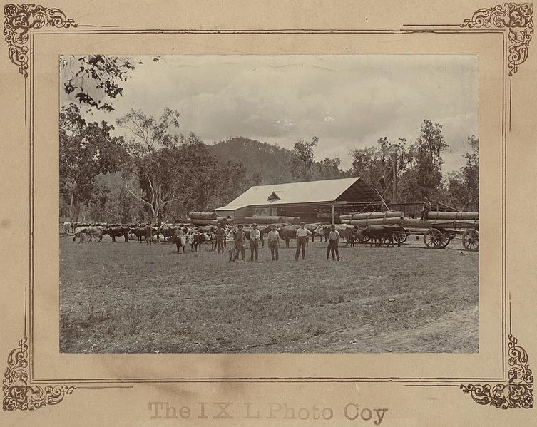 File:StateLibQld 1 243755 Charles Patterson Sawmill.jpg