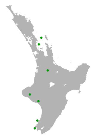 мапа поширення виду