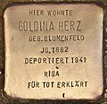 Stolperstein für Goldina Herz (Monheim am Rhein).jpg