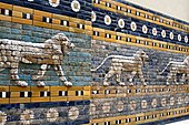 Striding lions - Processional Way of Babylon - Pergamonmuseum - Berlin - Germany 2017.jpg