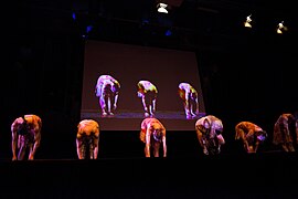 Indigenous Australian dance company Bangarra Dance Theatre