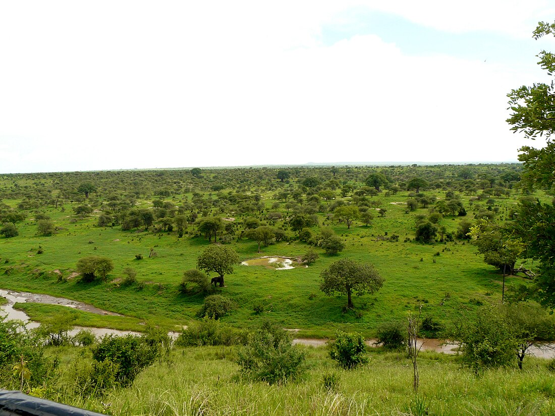 Parc Nacional de Tarangire