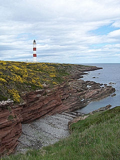 Tarbat Ness Lighthouse Lighthouse