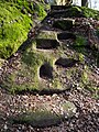 * Nomination Devil's stone near Lichtenstein Castle in the Hassberg Nature Park --Ermell 05:53, 23 June 2020 (UTC) * Promotion  Support Good quality. --Podzemnik 05:56, 23 June 2020 (UTC)