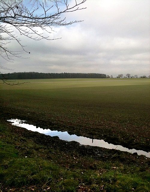 The site of the Battle of North Walsham