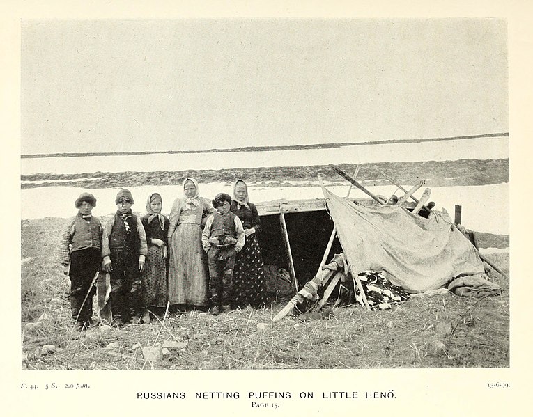 File:Three summers among the birds of Russian Lapland (Plate 5) BHL40161609 (cropped).jpg