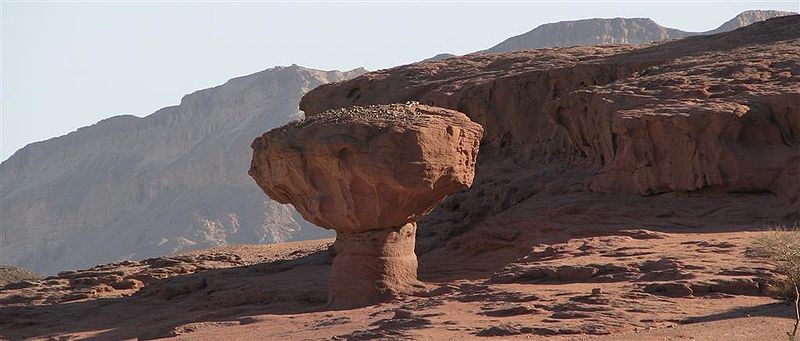 Vaizdas:Timna Valley Mushroom.jpg