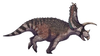 Titanoceratops ouranos life restoration.jpg