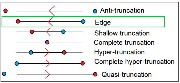 Types of truncations shown on an edge isolated from a larger polygon or polyhedron with red and blue vertices. The edge reverses direction after complete truncation. Types of truncation on edge.png