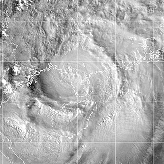 <span class="mw-page-title-main">Tropical Storm Durian (2001)</span> Pacific severe tropical storm in 2001