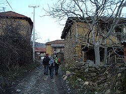 Стровија: Географија и местоположба, Историја, Стопанство