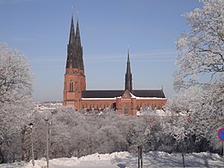 Uppsala domkyrka med några träd i förgrunden