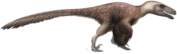 Utahraptor