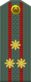 Полковник от Въоръжените сили на Узбекистан.