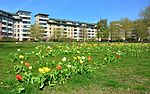 Anna Lindhs park, Stockholm