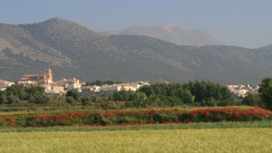 Vista de Huéscar (Granada) .png