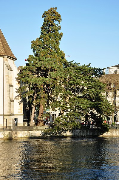 File:Wasserkirche - Stadthausquai-Münsterhof 2011-04-09 18-45-58 ShiftN.jpg